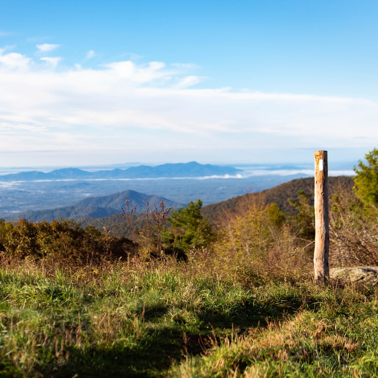 picture of the appalachian trail